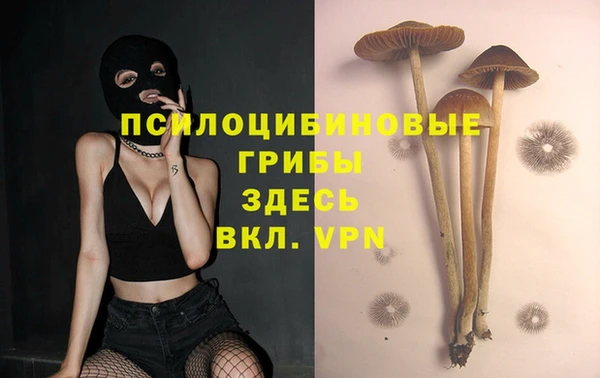 спиды Михайловка