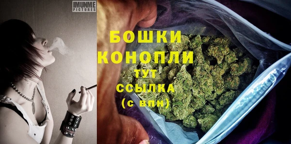 ГАЛЛЮЦИНОГЕННЫЕ ГРИБЫ Михайлов