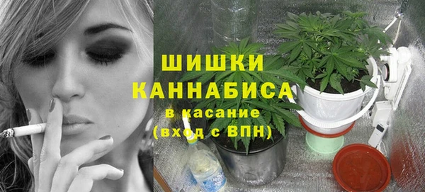 ГАЛЛЮЦИНОГЕННЫЕ ГРИБЫ Михайлов