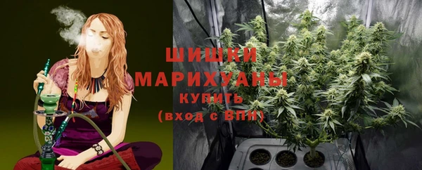 ГАЛЛЮЦИНОГЕННЫЕ ГРИБЫ Михайлов