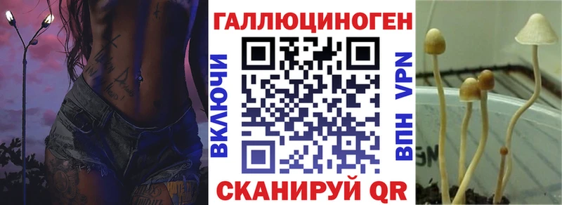 Галлюциногенные грибы мицелий блэк спрут ТОР Миасс