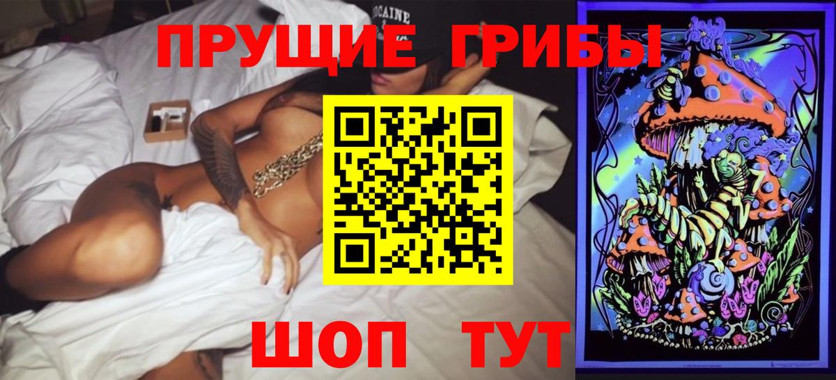Миасс  Псилоцибиновые грибы Psilocybine cubensis  Псилоцибиновые грибы мицелий  Вход с VPN 