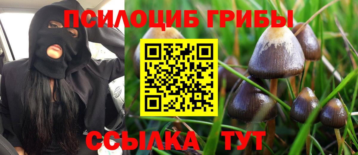 Галлюциногенные грибы мухоморы Миасс